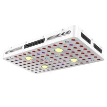 Phlizon 450w COB LED Grow Light Review