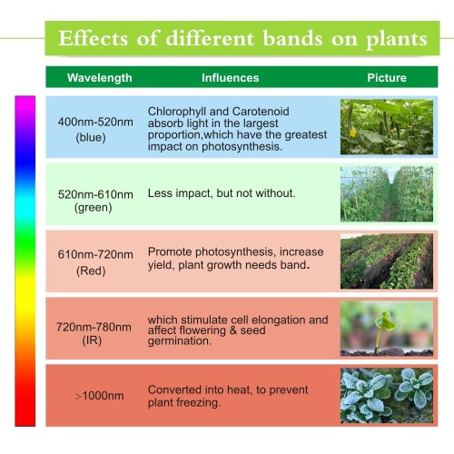 植物は成長していますフルスペクトラムLEDストリップ