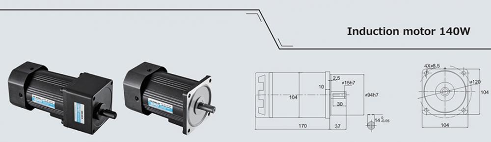 140w Induction Ac Motor