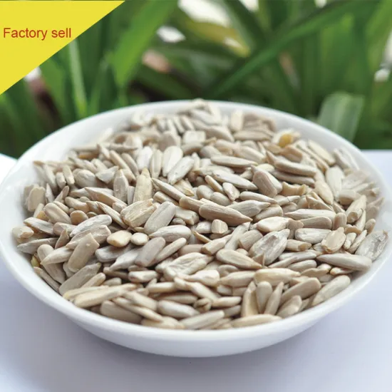 HACCP Human Consumption RAW sunflower seeds