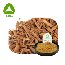 Yohimbe Bark Extrait de yohimbine poudre 10%