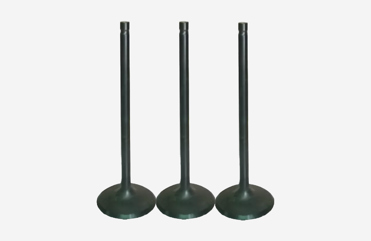 1320927 Intake Valve for Engine