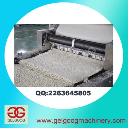 Non-fried Instant Noodles Plant