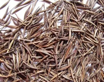 Flower seeds cosmos american meadows