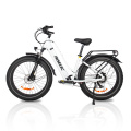 EU stock 750W Motor Bafang Batería grande Bicicleta eléctrica