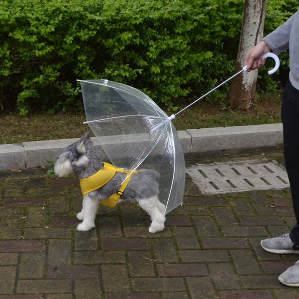 High Quality Transparent Dog Umbrella