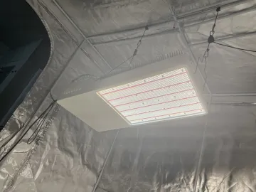 Indoor 1200W Led Grow Light Replaces HPS 2000W