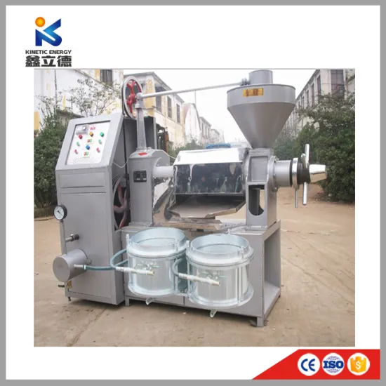 High Oil Yield Cottonseed Hemp Oil Extraction Machine for Sale