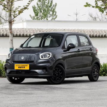 2023 New Car: Lingpao T03 Pure Electric Adult Micro Car