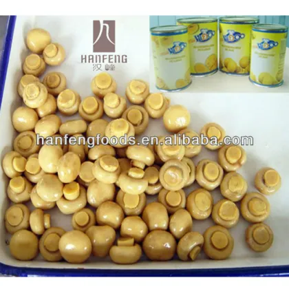wholesale canned mushroom brand VIDOO