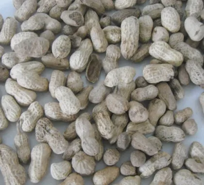 220v / 50hz ≥99.5% Color Selection High End Ccd Color Sorter Machine