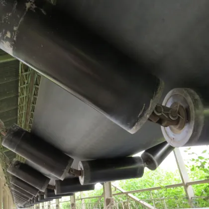 UHMWPE roller for coal industry