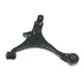 OEM Auto Triangle Control Arm