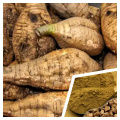 Pueraria Mirifica Extract Powder 30% Puerarin
