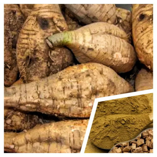 Pueraria Mirifica Extract Powder 30% Puerarin