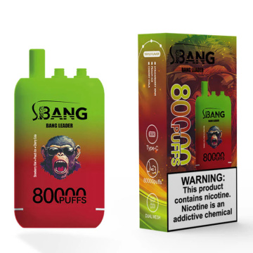Bang Leader Depb -Vape Vape 80000 Puffs Poland Borong