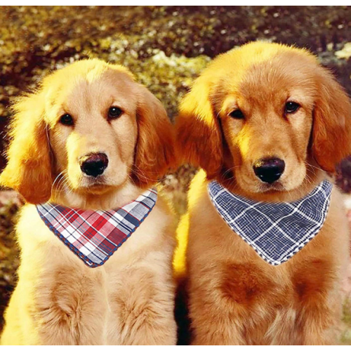 Biologische katoenen hond Bandana