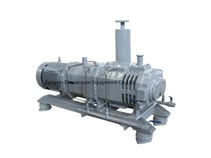 Latest Generation High-tech Screw Vacuum Pump