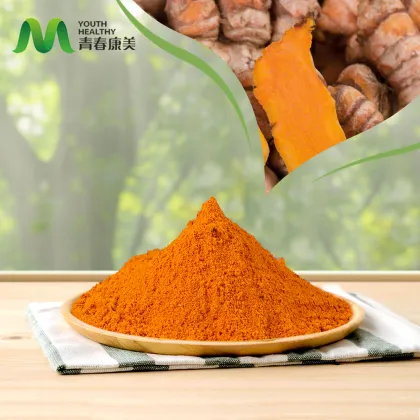 Turmeric Curcumin 95% Extract Powder Competitive Price