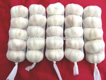 5pcs pure white garlic