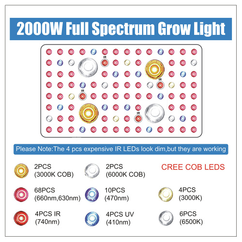 2000 Watt Cob LED wachsen Licht