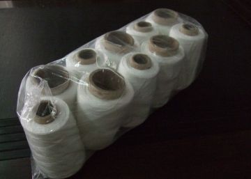High Tenacity Spun Sewing Thread , 40s Raw White For Understitching