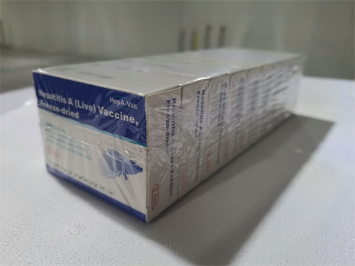 hepatitis a vaccine