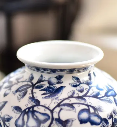 Traditional Chinese blue and white porcelain vases