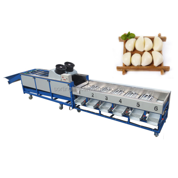 Small Vegetable Sorting Machine: Tomato, Garlic, and Jujube Separator
