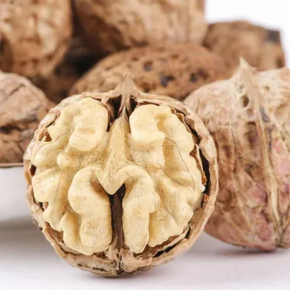 500g Mesh Bag In-shell Walnuts