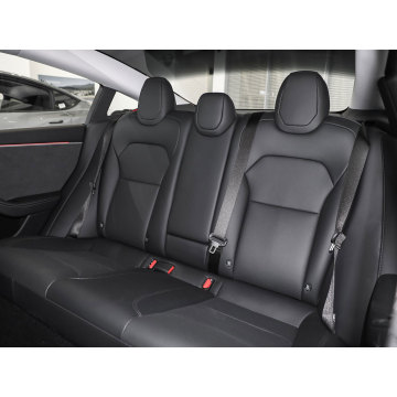 New Energy Electric Vehicle Tesla Model 3