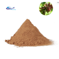 supply Freeze dried Aloe vera extract powder