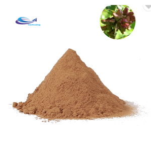 Yucca Plant Extract Yucca Extract Powder
