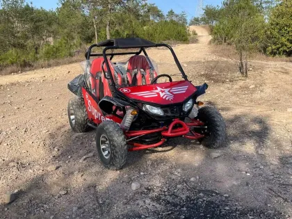 Christmas Gift: Gas Powered Snow Go Kart & Dune Buggy 200CC - Off Road Karting Desert Buggy Sale
