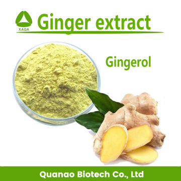 Ginger Extract Gingerol Powder 5% 10%