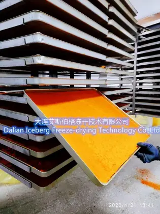 Seabuckthorn Powder Freeze Dryer