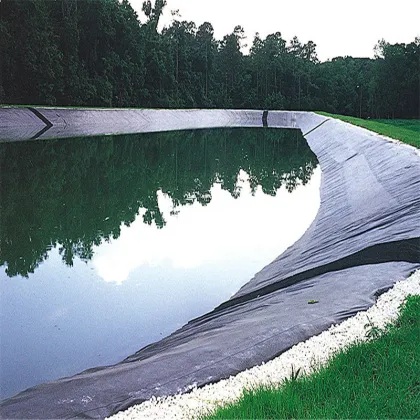 High Quality Fish Farm Liner HDPE Geomembrane