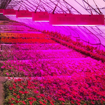 Planta de interior LED de espectro completo para crecer