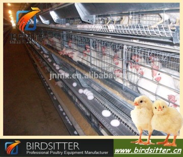 Popular Modern automatic egg layers cage design