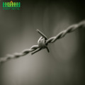 Sampel Gratis DoubleTwisted PVC Coated Barbed Wire