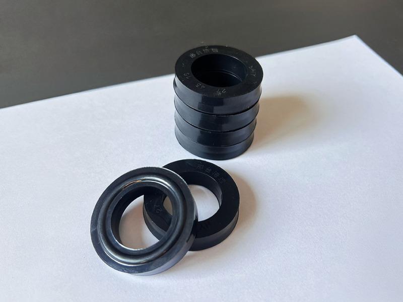 Y-type oil seal