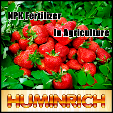 FAQ 17--NPK Fertilizer's Role In Agriculture