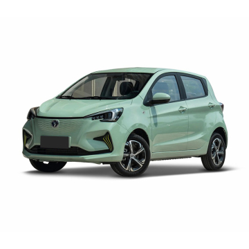 2024 Changan Benben E-Star: 310 km Zakres New Energy Mini Electric Car