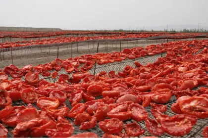 Sweet Sun Dried Tomatoes Wholesale