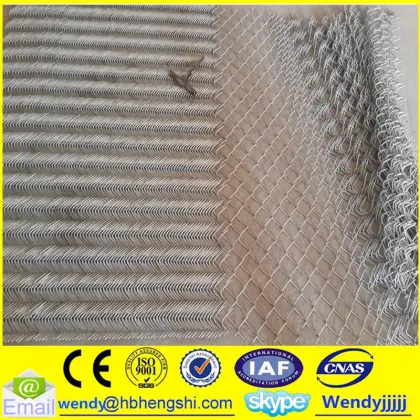 Professional chain link fence for wholesales                        
                                                                                Supplier's Choice