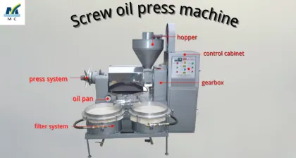 Automatic Coconut Oil Machine: Digital Display Spiral Oil Press for Global Market