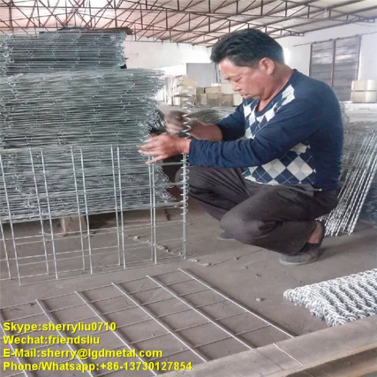 8*10cm mesh size galvanized gabion box for sale / 2*1*1 gabion box price-----GBSL025
