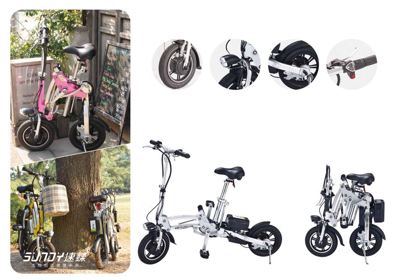 250W High Quality Folding E Bike with Removable Lithium Battery Pack