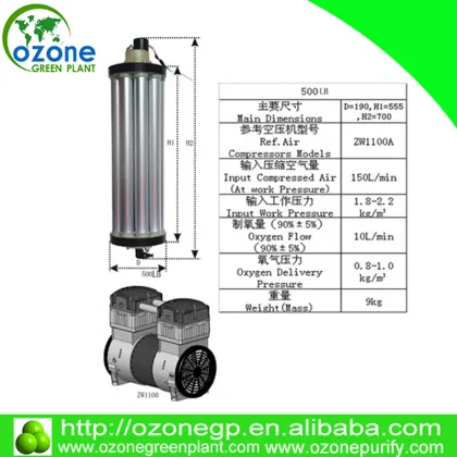 Electric spa pure medical oxygen generator