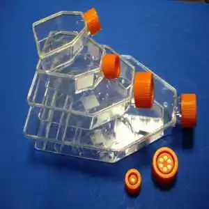 50ML cell culture flasks